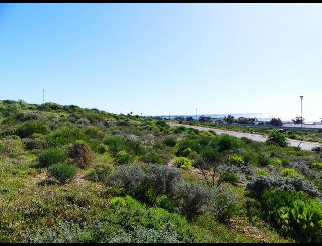 LAND FOR SALE IN ST HELENA VIEWS